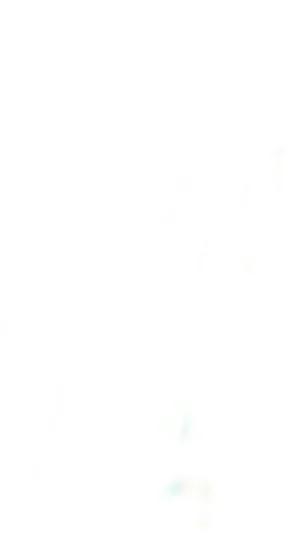 Ola Festdrakt Rosenberg