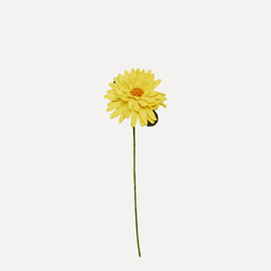 UND - Tovede blomster og greiner Stor gul blomst - UND Norway