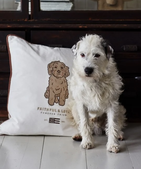 Dog Pillow Cover DK Gray/White/Brown - Lexington